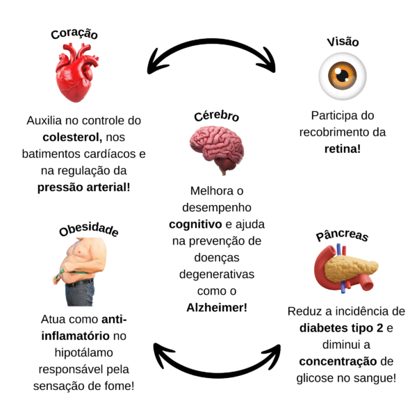 ÔMEGA 3 1000MG | 120 CÁPSULAS (ANTARTIDA) - Imagem 6